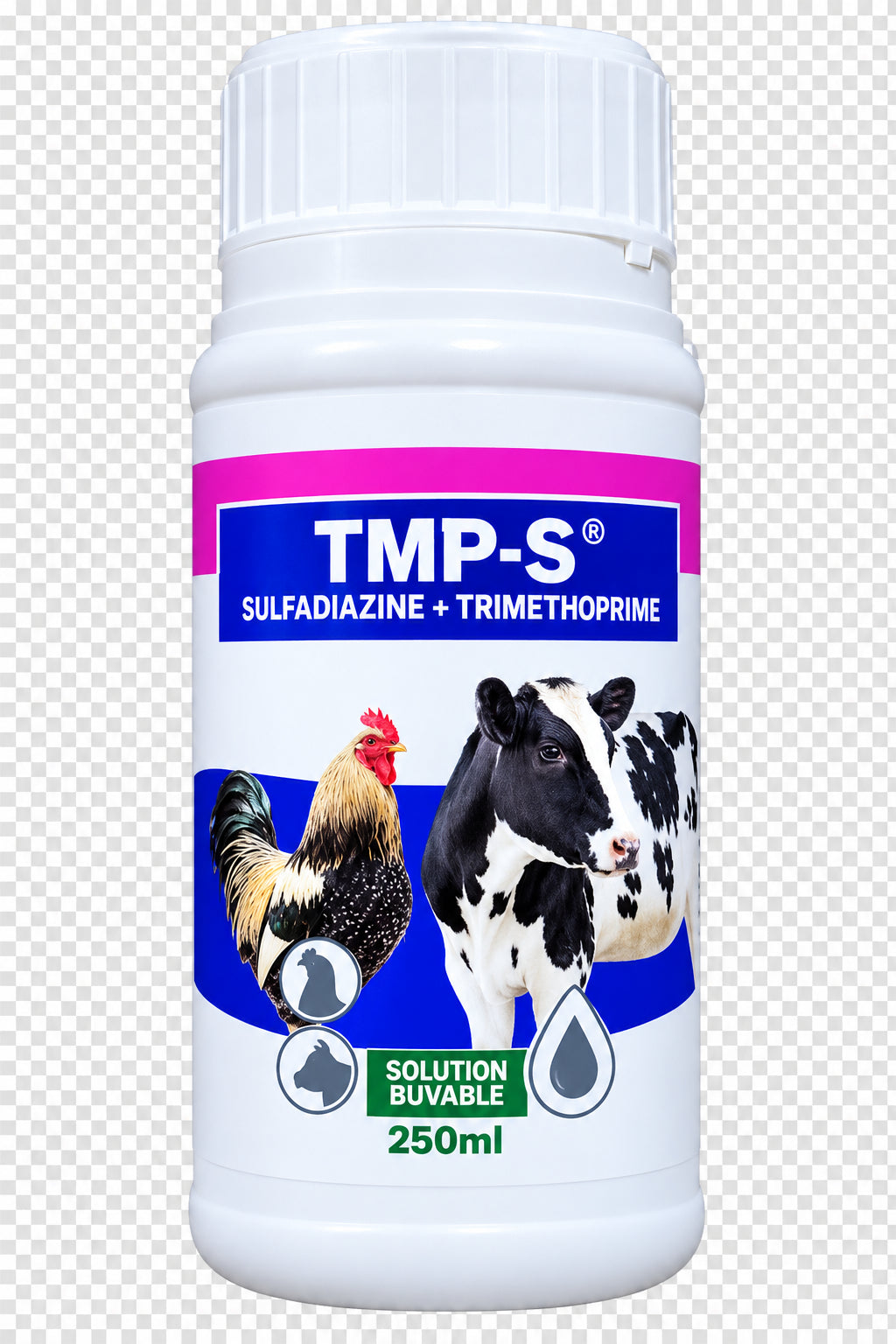 TMP-S